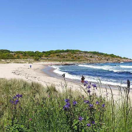 Hébergement de vacances Stunning In With Wifi Allinge-Sandvig